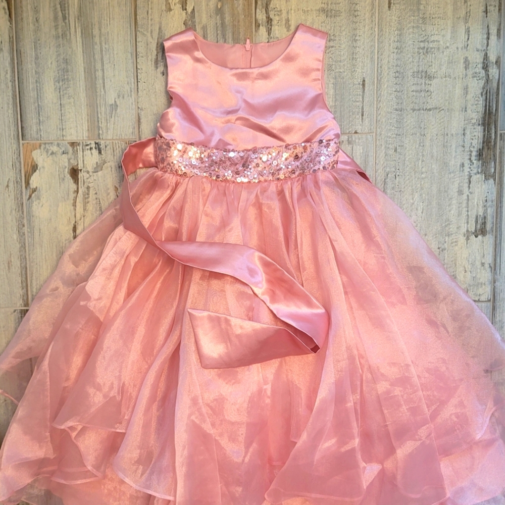 Beautiful party dress or flower girl gown! Size 4T